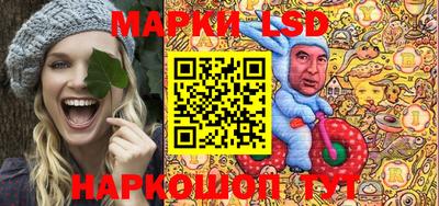 спиды Донской