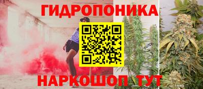 метадон Дубна