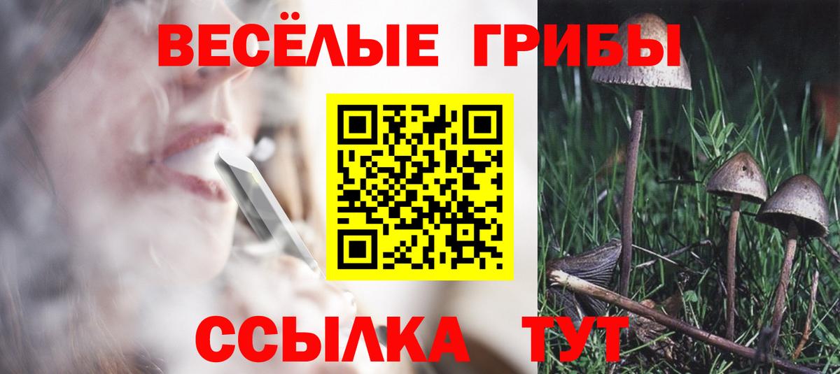 Псилоцибиновые грибы Cubensis Ирбит