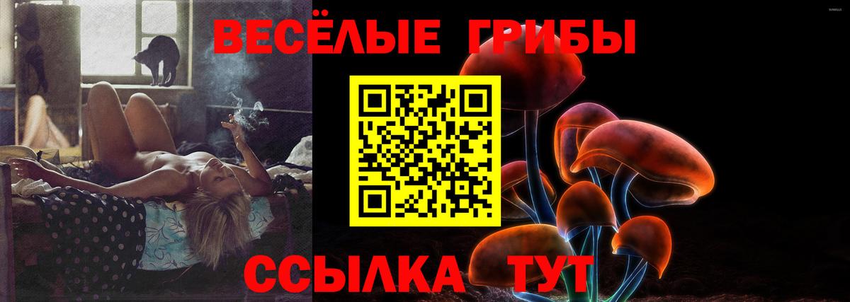 Галлюциногенные грибы Psilocybine cubensis  как найти закладки  Галлюциногенные грибы прущие грибы  Ирбит  Вход с VPN 
